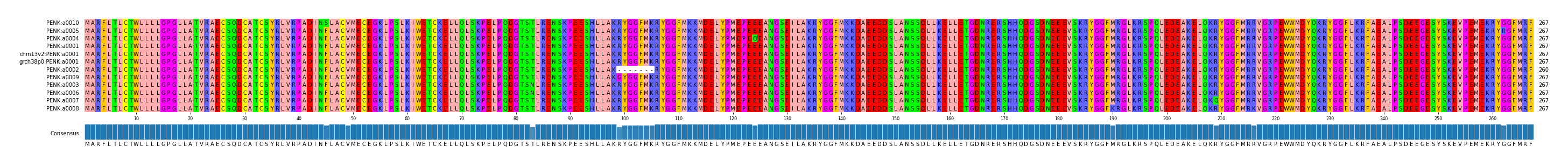 Multiple Alignments (by translate haplotype similarity)