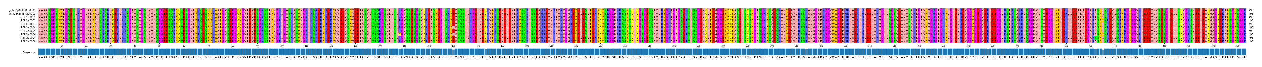 Multiple Alignments (by translate haplotype frequency)
