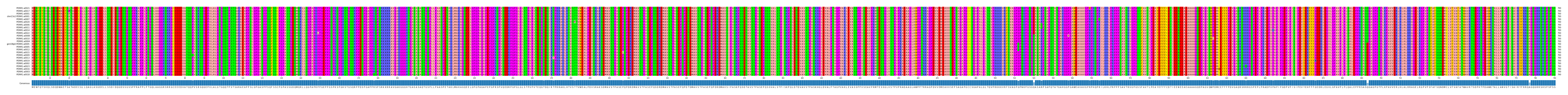 Multiple Alignments (by translate haplotype similarity)