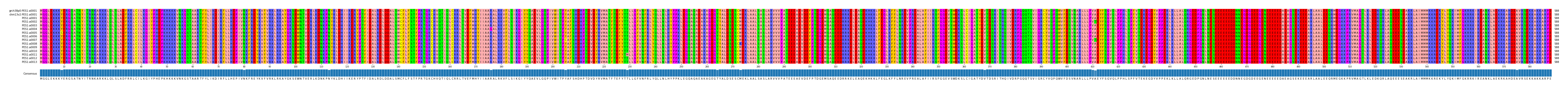 Multiple Alignments (by translate haplotype frequency)