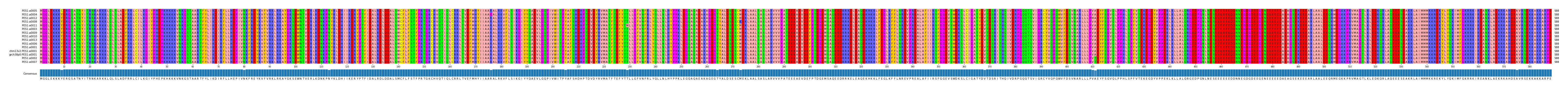 Multiple Alignments (by translate haplotype similarity)
