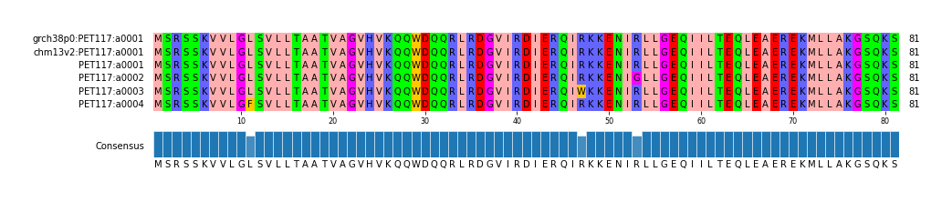 Multiple Alignments (by translate haplotype frequency)