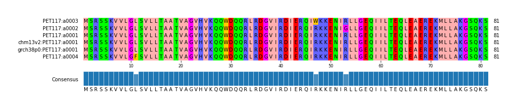 Multiple Alignments (by translate haplotype similarity)
