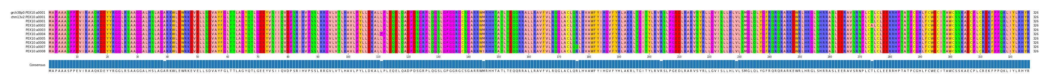 Multiple Alignments (by translate haplotype frequency)