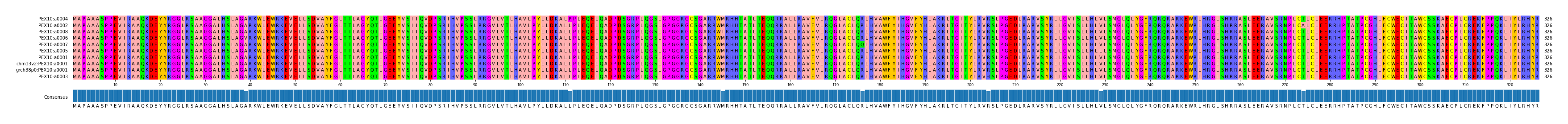 Multiple Alignments (by translate haplotype similarity)