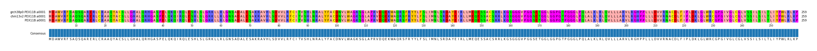 Multiple Alignments (by translate haplotype similarity)