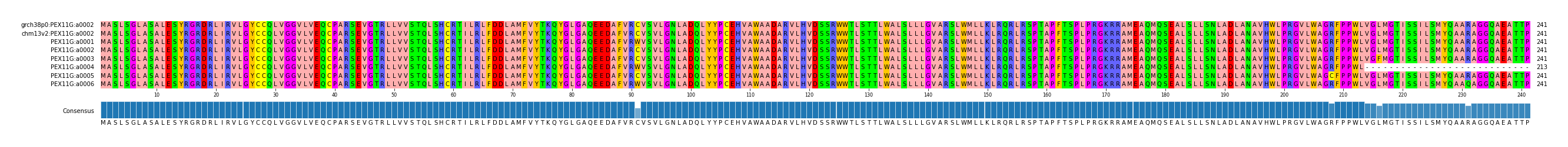 Multiple Alignments (by translate haplotype frequency)