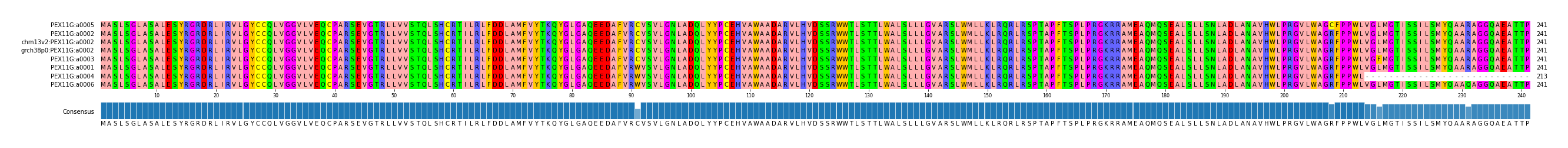 Multiple Alignments (by translate haplotype similarity)