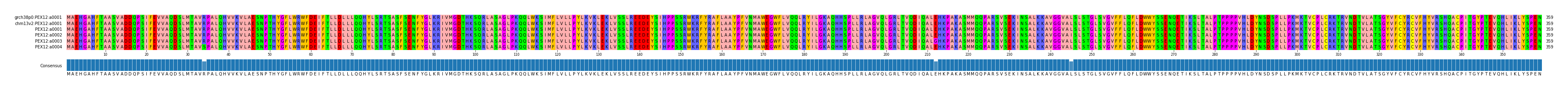 Multiple Alignments (by translate haplotype frequency)
