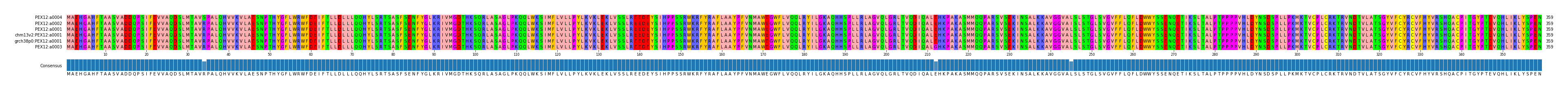 Multiple Alignments (by translate haplotype similarity)