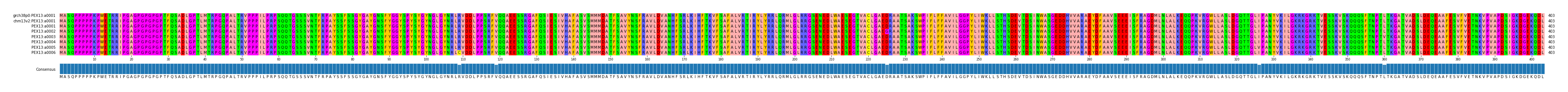 Multiple Alignments (by translate haplotype frequency)
