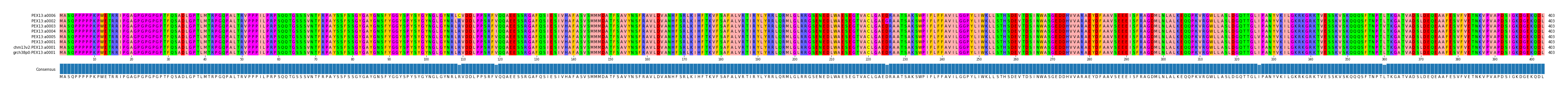 Multiple Alignments (by translate haplotype similarity)
