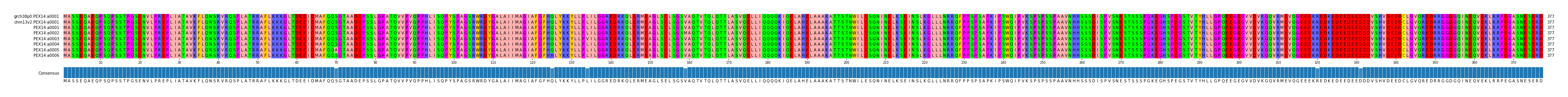 Multiple Alignments (by translate haplotype frequency)