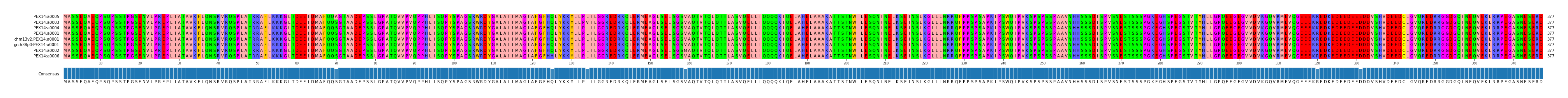 Multiple Alignments (by translate haplotype similarity)