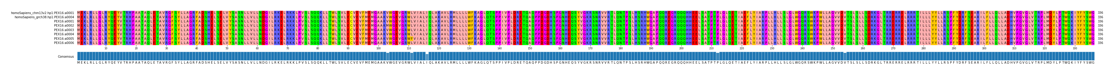 Multiple Alignments (by translate haplotype frequency)