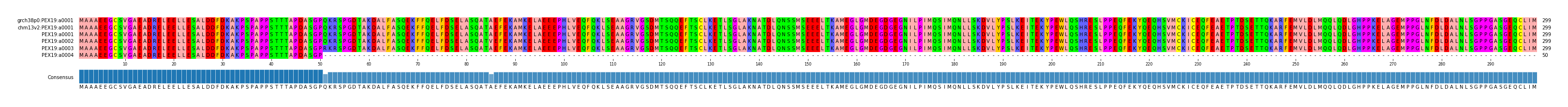 Multiple Alignments (by translate haplotype frequency)