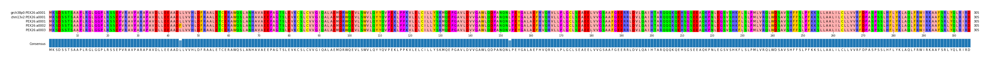Multiple Alignments (by translate haplotype frequency)