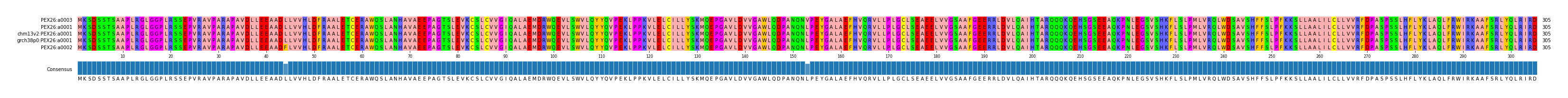 Multiple Alignments (by translate haplotype similarity)