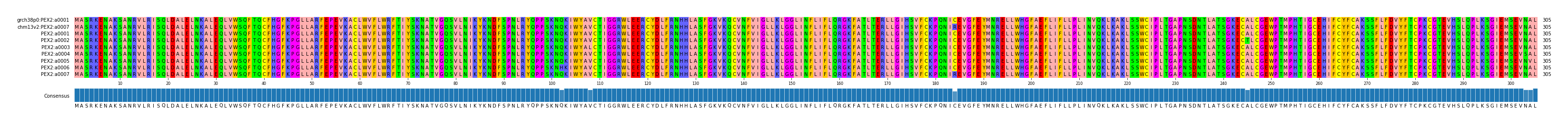 Multiple Alignments (by translate haplotype frequency)