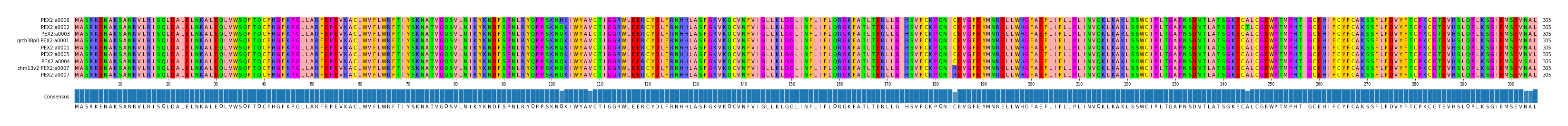 Multiple Alignments (by translate haplotype similarity)
