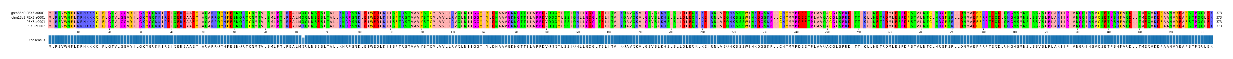 Multiple Alignments (by translate haplotype similarity)