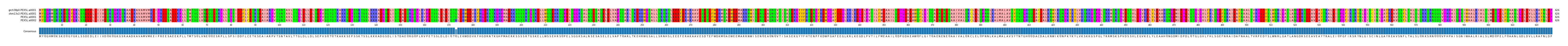 Multiple Alignments (by translate haplotype similarity)
