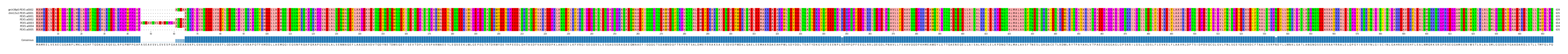 Multiple Alignments (by translate haplotype frequency)
