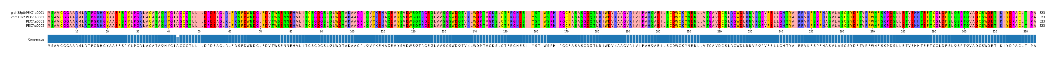 Multiple Alignments (by translate haplotype similarity)