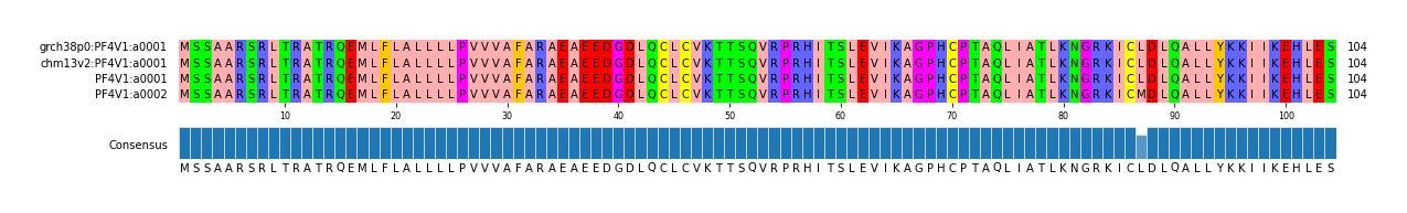 Multiple Alignments (by translate haplotype similarity)