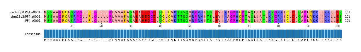 Multiple Alignments (by translate haplotype similarity)