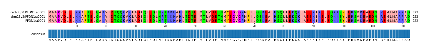Multiple Alignments (by translate haplotype similarity)