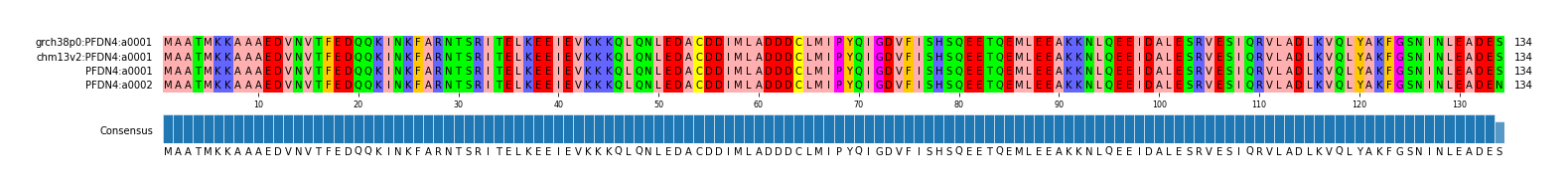 Multiple Alignments (by translate haplotype similarity)