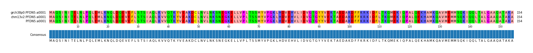 Multiple Alignments (by translate haplotype similarity)
