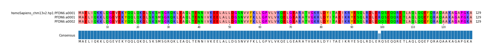 Multiple Alignments (by translate haplotype similarity)