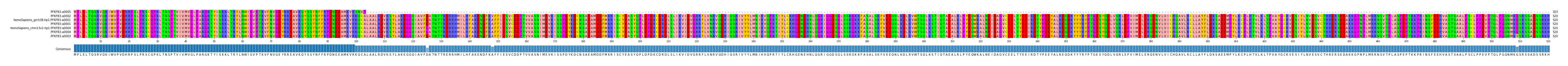 Multiple Alignments (by translate haplotype similarity)