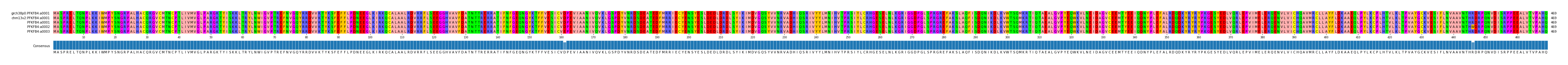 Multiple Alignments (by translate haplotype frequency)