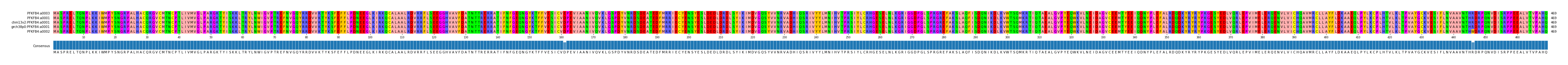 Multiple Alignments (by translate haplotype similarity)