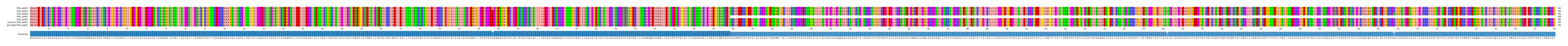 Multiple Alignments (by translate haplotype similarity)