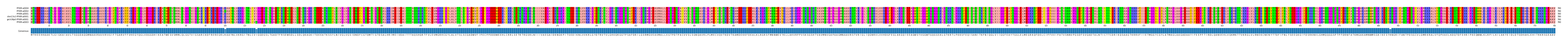 Multiple Alignments (by translate haplotype similarity)