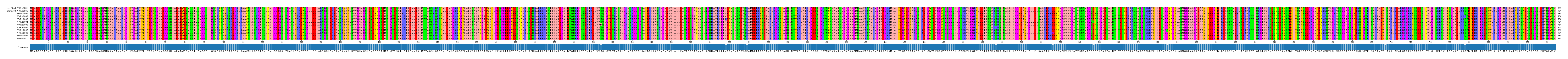 Multiple Alignments (by translate haplotype frequency)