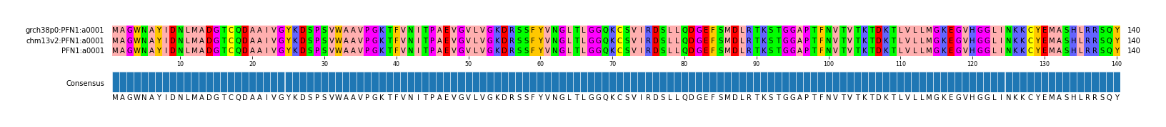 Multiple Alignments (by translate haplotype similarity)