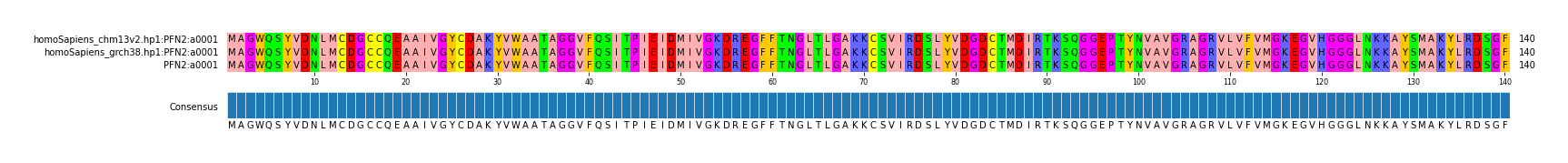 Multiple Alignments (by translate haplotype similarity)