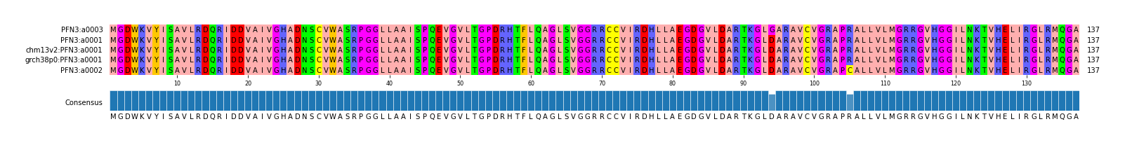 Multiple Alignments (by translate haplotype similarity)