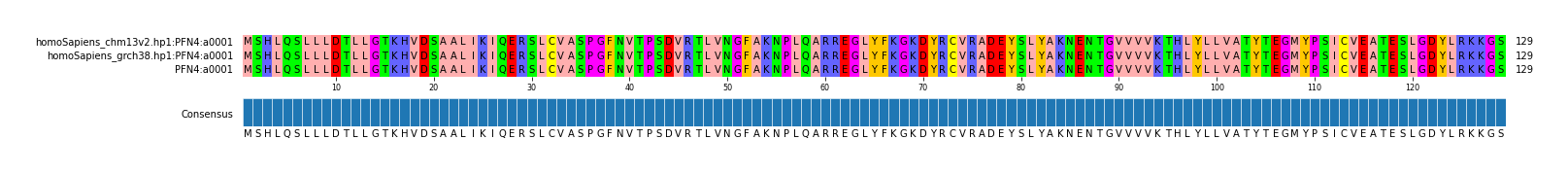 Multiple Alignments (by translate haplotype similarity)