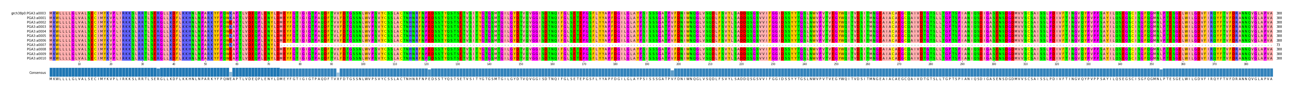 Multiple Alignments (by translate haplotype frequency)