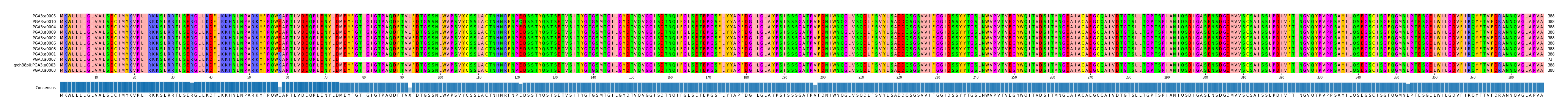 Multiple Alignments (by translate haplotype similarity)