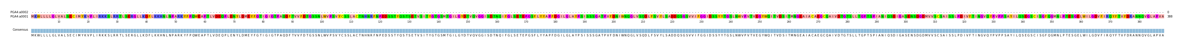 Multiple Alignments (by translate haplotype similarity)