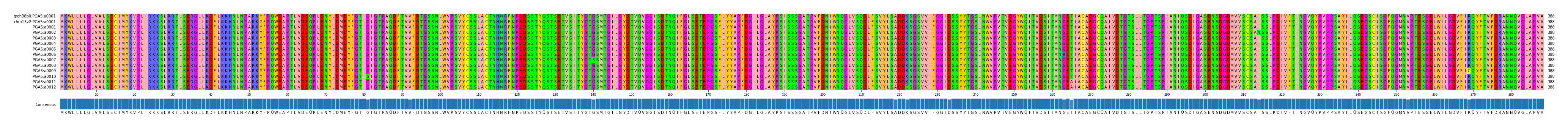Multiple Alignments (by translate haplotype frequency)