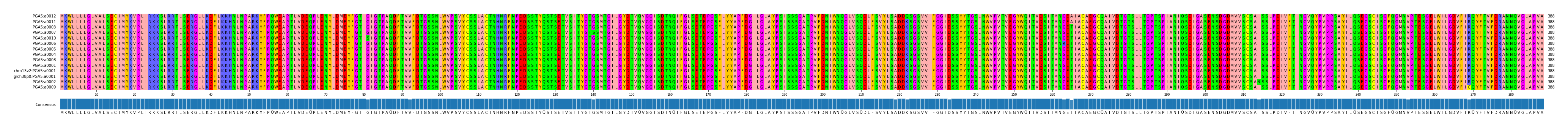 Multiple Alignments (by translate haplotype similarity)