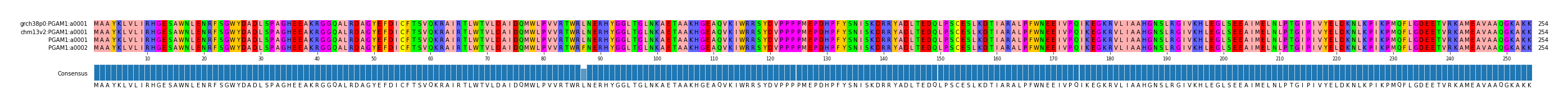 Multiple Alignments (by translate haplotype similarity)